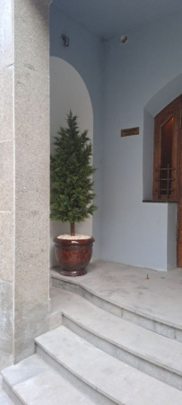 Туя (кипарис) 180 см